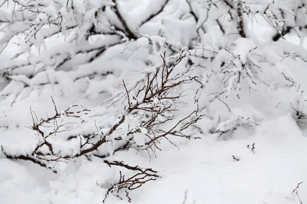 Śnieg Krajobraz Parku — Zdjęcie stockowe