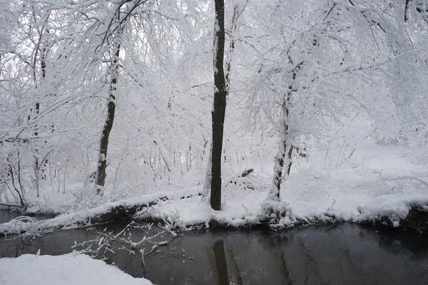 Paisagem Nevando Parque — Fotografia de Stock