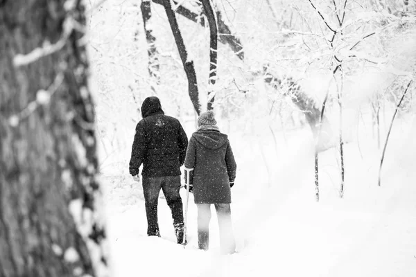 Paisagem Nevando Parque — Fotografia de Stock