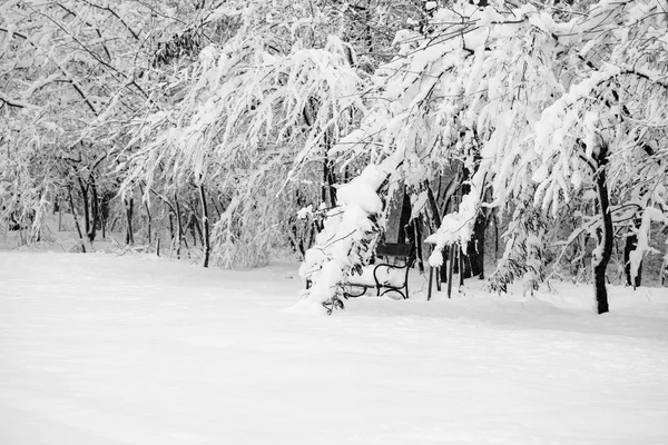 Paisagem Nevando Parque — Fotografia de Stock