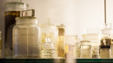 Londra, İngiltere, Doğal Tarih Müzesi - korunmuş hayvanlar ve türler, laboratuvar ayrıntıları