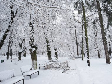 Peyzaj Park kar yağışı