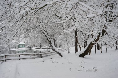 Peyzaj Park kar yağışı
