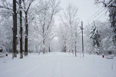 Parkın kış manzarası