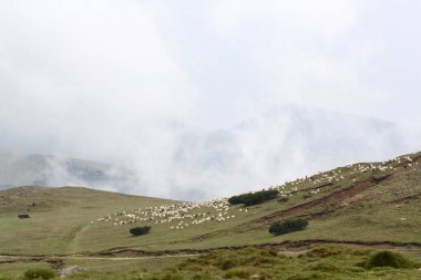 Romanya 'daki Güney Karpatlar' ın bir parçası olan Bucegi Dağları 'ndan manzara 