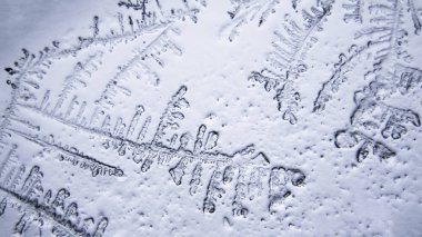 Gözyaşları mikroskop görüş. Büyütme 100-1000 x