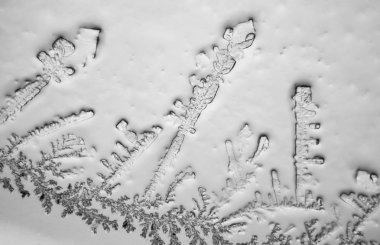 Gözyaşları mikroskop görüş. Büyütme 100-1000 x