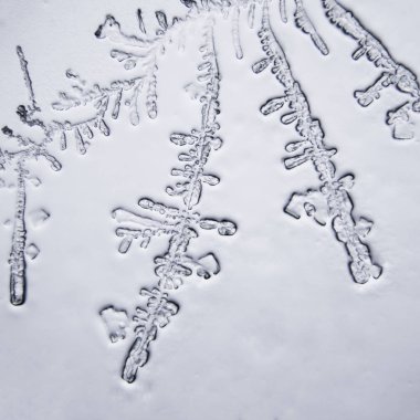 Gözyaşları mikroskop görüş. Büyütme 100-1000 x