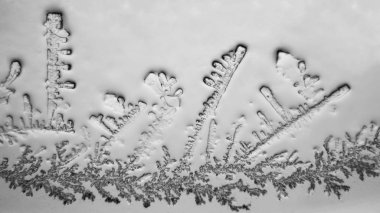 Gözyaşları mikroskop görüş. Büyütme 100-1000 x