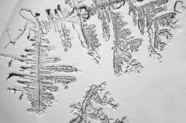 Gözyaşları mikroskop görüş. Büyütme 100-1000 x