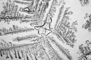 Gözyaşları mikroskop görüş. Büyütme 100-1000 x