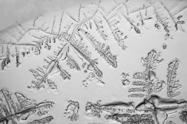 Gözyaşları mikroskop görüş. Büyütme 100-1000 x