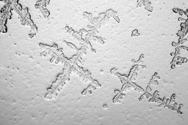 Gözyaşları mikroskop görüş. Büyütme 100-1000 x