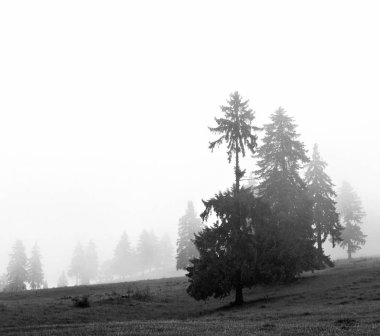Güzel Romen dağ manzarası 