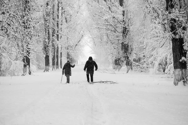 Paisagem Nevando Parque — Fotografia de Stock