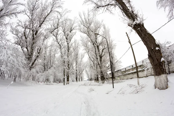 Nieva Paisaje Parque — Foto de Stock