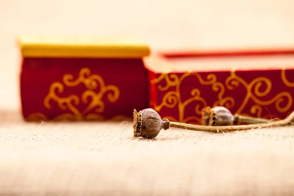 상자와 양귀비의 정물화 — 스톡 사진