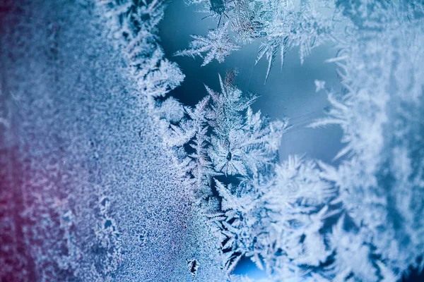 Flores Hielo Sobre Vidrio Textura Fondo —  Fotos de Stock