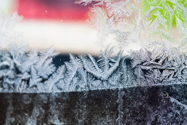 Ice flowers on glass - texture and background