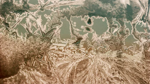 Ice flowers on glass - texture and background