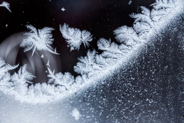 Flores Hielo Sobre Vidrio Textura Fondo — Foto de Stock