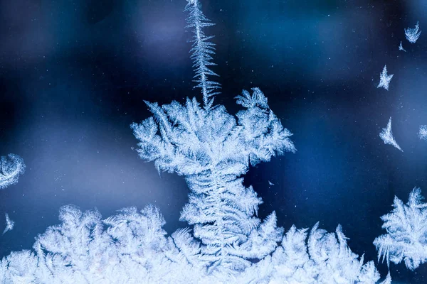 Flores Hielo Sobre Vidrio Textura Fondo — Foto de Stock