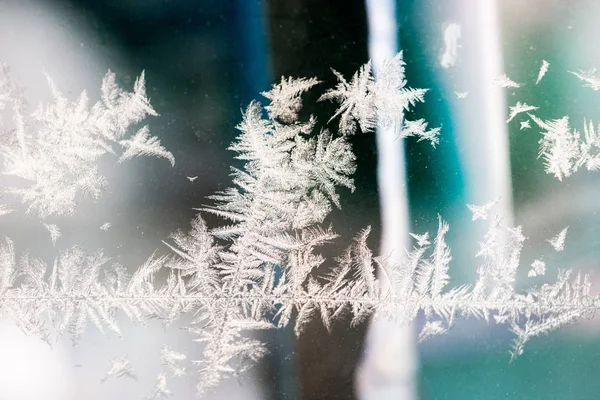 氷のテクスチャと背景 ガラスの花 — ストック写真