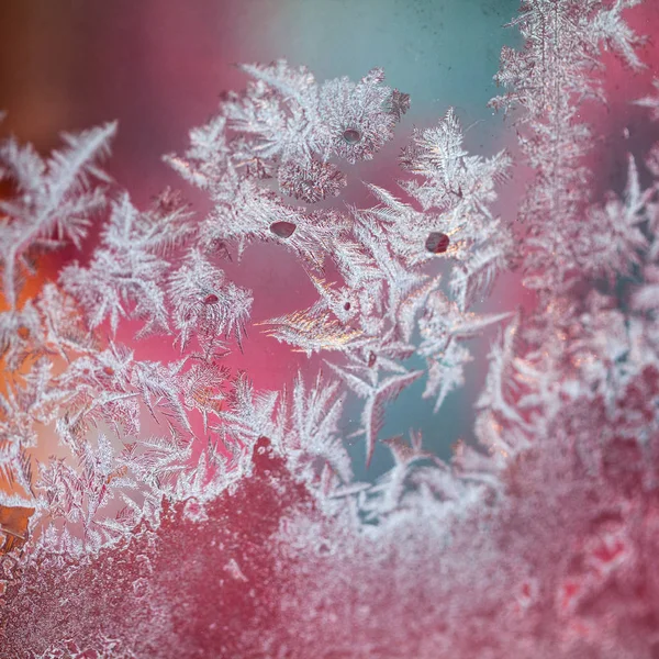 Cam Doku Arka Plan Buz Çiçekleri — Stok fotoğraf