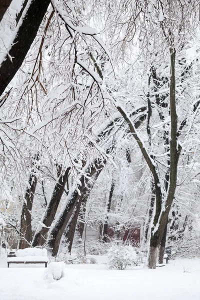 Nieva Paisaje Parque — Foto de Stock