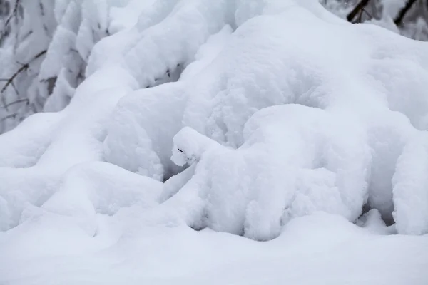 Snowing Landscape Park — Stock Photo, Image