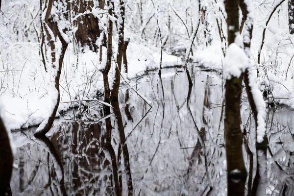 Paysage Neige Dans Parc — Photo