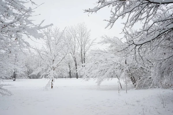 Nieva Paisaje Parque — Foto de Stock