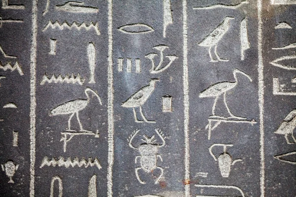 2015 Londra Ngiltere British Museum Hiyerogliflerin Mısır Tabut Üzerinde Görüntü — Stok fotoğraf