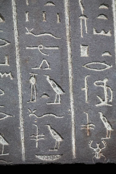 2015 London Egyesült Királyság British Museum Koporsók Egyiptomi Hieroglifák Kép — Stock Fotó