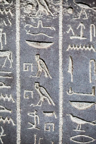 729 2015 London British Museum Иероглифы Египетских Гробах Image — стоковое фото