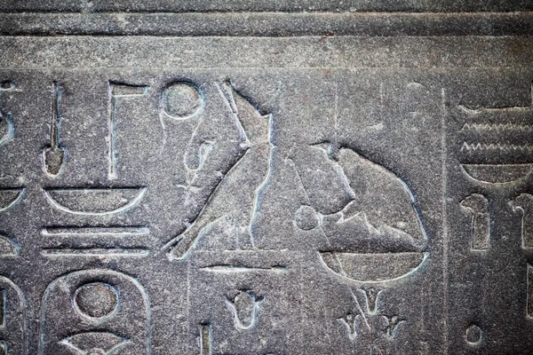 2015 Londýn Velká Británie Britské Muzeum Hieroglyfy Egyptské Rakve Obrázek — Stock fotografie