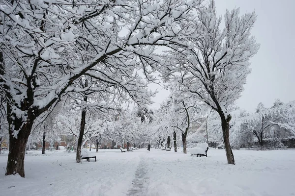 下雪在公园里的景观 — 图库照片