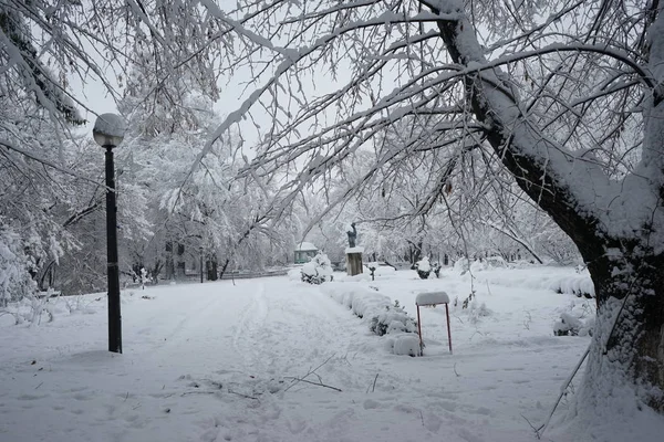 Snöar Landskap Parken — Φωτογραφία Αρχείου