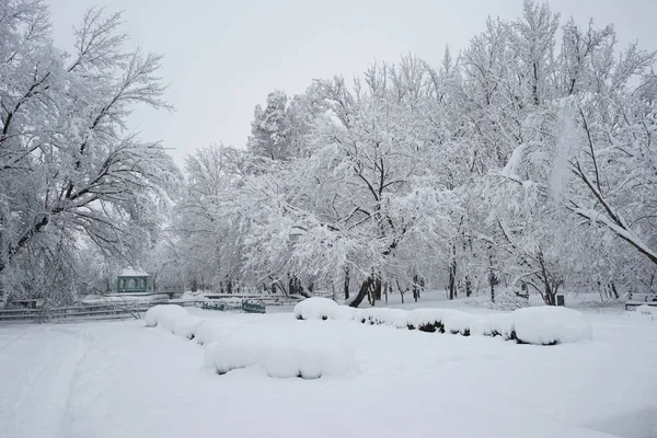 Peyzaj Park Kar Yağışı — Stok fotoğraf