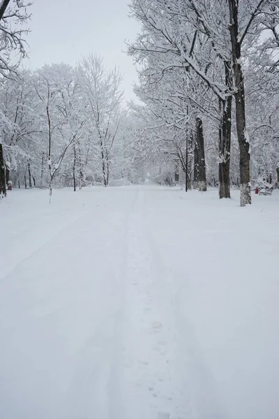 Paisaje invernal en el parque — Foto de Stock