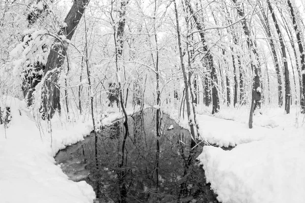 Snöar Landskap Parken Fisheye Lens Effekter — Stockfoto
