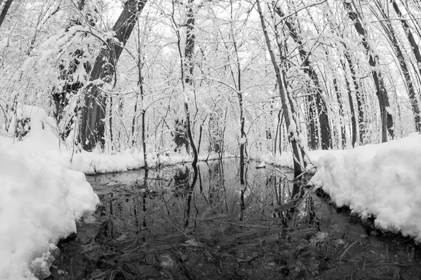 Снежный Пейзаж Парке Эффекты Линз Fisheye — стоковое фото