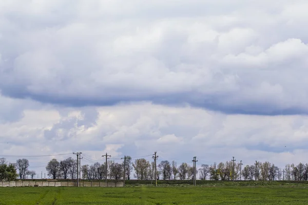Field Cloudy Weather Daytime Electric Poles — Stock Photo, Image