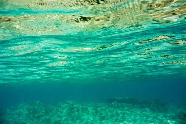 Unterwasserwelt Und Fauna Ionischen Meer Zakynthos Griechenland — Stockfoto