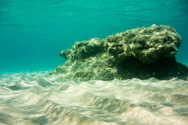 Textura Submarina Fauna Mar Jónico Zakynthos Grecia — Foto de Stock