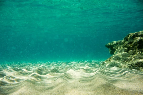 Underwater Textur Och Fauna Joniska Havet Zakynthos Grekland — Stockfoto