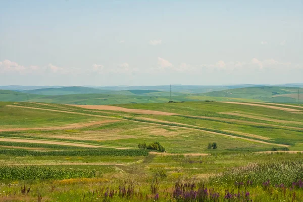 Paisagem Rural Com Nuvens Brancas Adn Trigo Campo — Fotografia de Stock