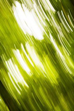 Doğal, renkli arka plan ile bokeh 