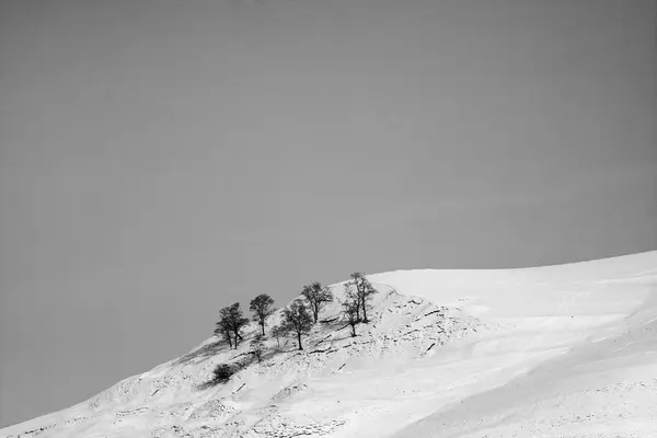 冬の山の風景 白黒写真 — ストック写真