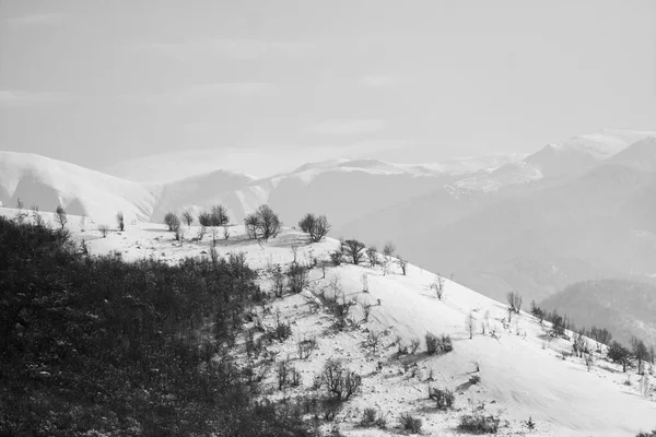 Χειμερινό Ορεινό Τοπίο Ασπρόμαυρη Φωτογραφία — Φωτογραφία Αρχείου